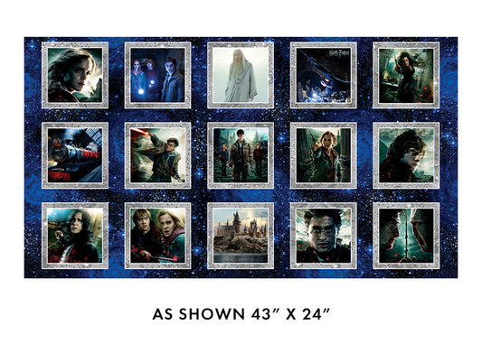 Harry Potter 2nd Edition - Wizarding Boxes Multi 43"x 24" - Panel