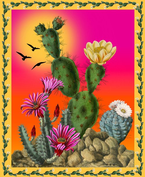 Blank Desert Bloom 36" x 43" Cactus Panel