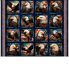 1776 - Eagle Picture Patches 36"x42" - Panel