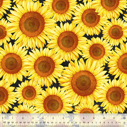 Sunshine Daydream Brighter Than the Sun Black Fabric