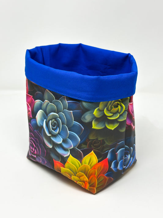 Tub Totes - Rainbow Succulents #7