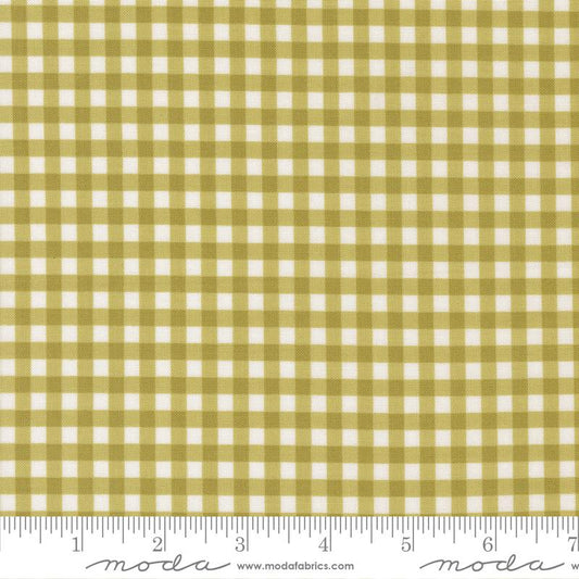Lucky Gingham Grass - Sherbet 55707 16 - yardage