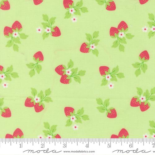 Fruit Salad 29243 20 Melon Fabric