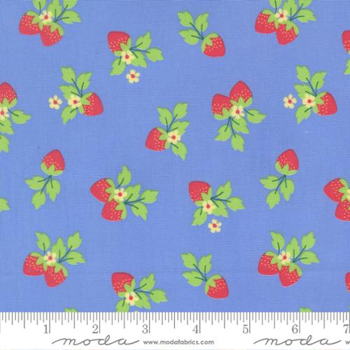 Fruit Salad 29243 23 Sky Fabric