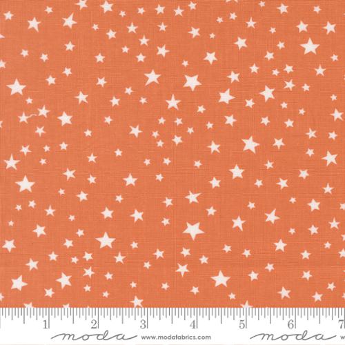 Purrs and Boos 39066 17 Pumpkin Fabric