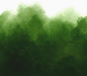 Mystic Ombre 10876 324 Evergreen Fabric