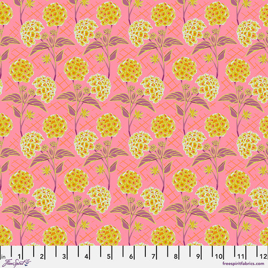Our Fair Home Trellis Peach Fabric