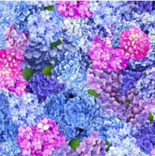 Hydrangea Dreams Spring Dream Multi - Panel