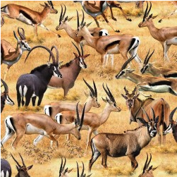 Serengeti Plains Wild Run Sand Yardage