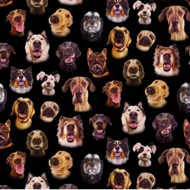 Follow Your Nose Dog Faces Black Yardage