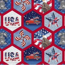 Wings of Freedom Patriotic Honeycomb Multi Yardage