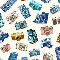 Retro Road Trip CAPTURE THE MOMENT DCX12088-BLUE-D yardage