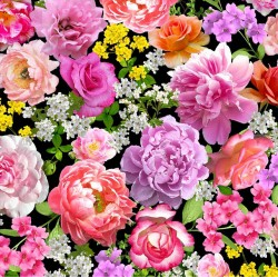 Flower Splendor GARDEN SPLENDOR DCX10528-BLAC-D yardage