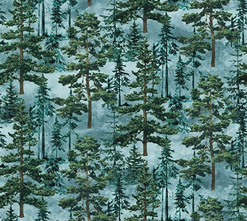 STONEHENGE EAGLE PASS BLUE MULTI 27673-44 Fabric