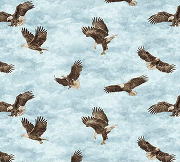 STONEHENGE EAGLE PASS LT BLUE MULTI 27675-42 Fabric
