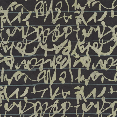 Stenographer's Notebook Script Late Night Fabric