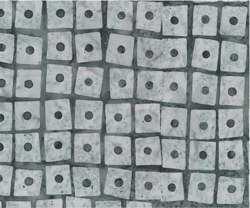 Stenographer's Notebook Block Cement Fabric