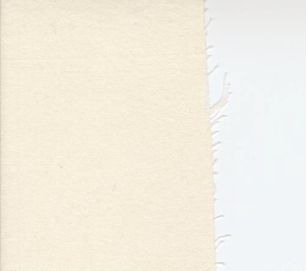 Prairie Gatherings Flannels Primitive Muslin Porcelain Fabric