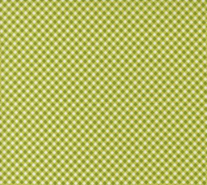 Raspberry Summer Lime 37697 17 Fabric