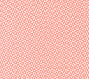 Delightfully Yours Pinwheel Carnation Fabric