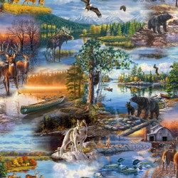 North Country The Great Outdoors DDC12445-MULT-D Fabric