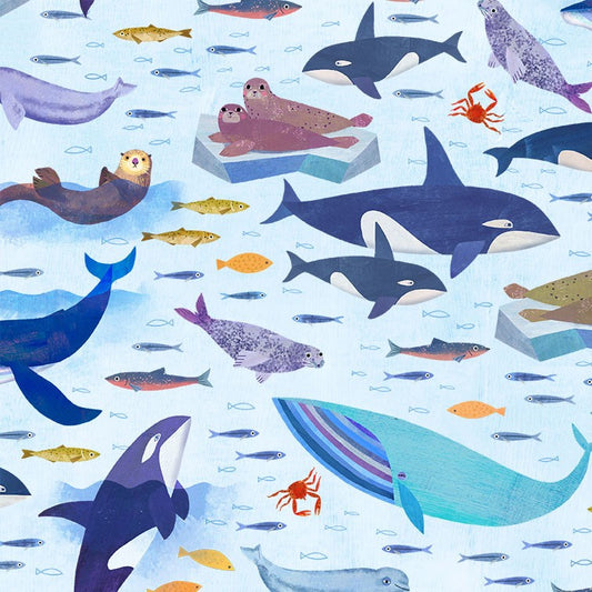 Alaska: The Last Frontier Gulf of Alaska Cloud Fabric