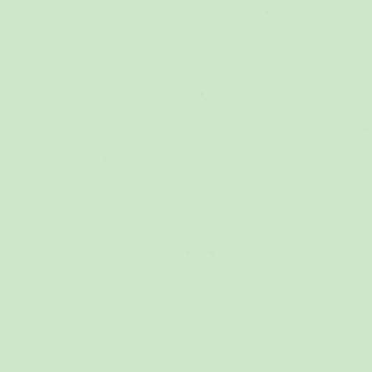Confetti Cottons Hint of Mint Yardage