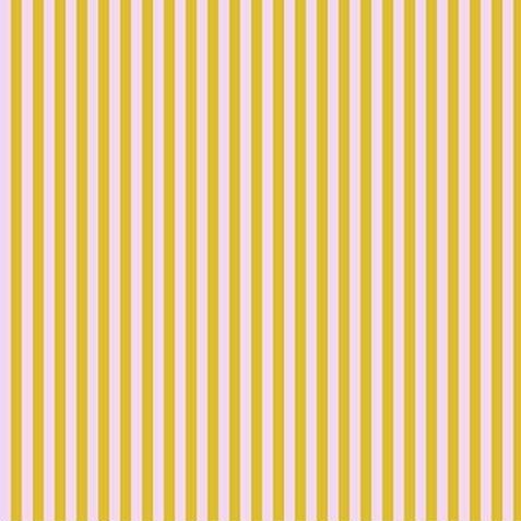 Tent Stripe - Marigold || Tula's True Colors