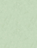 Blushing Meadow - Stonewash Texture - Light Green - Yardage