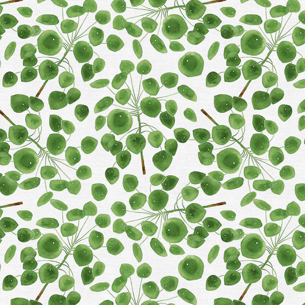 Modern Botanicals Pilea Fabric