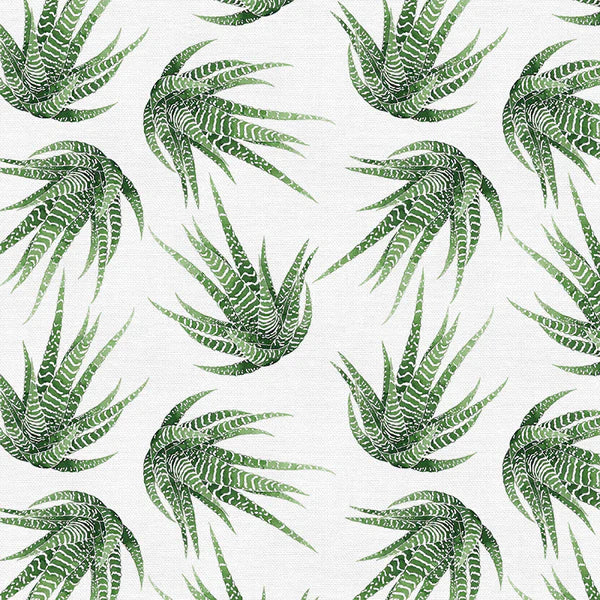 Modern Botanicals Haworthia Fabric