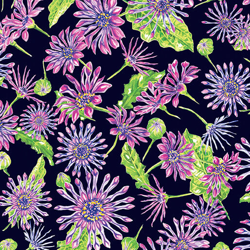 Starlight Safari African Daisy Black Fabric