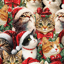 Merry Cats - Portraits - Multi - Yardage