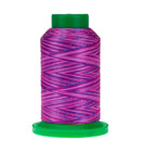 Isacord Variegated 1000m 9973 Summer Peonies Thread