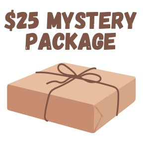 $25 Mystery Bag! Fun Surprises - Black Friday Special 6000