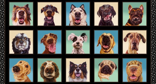 Follow Your Nose Panel 41002-black 24" x 44"