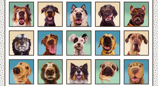 Follow Your Nose Panel 41002-white 24" x 44"