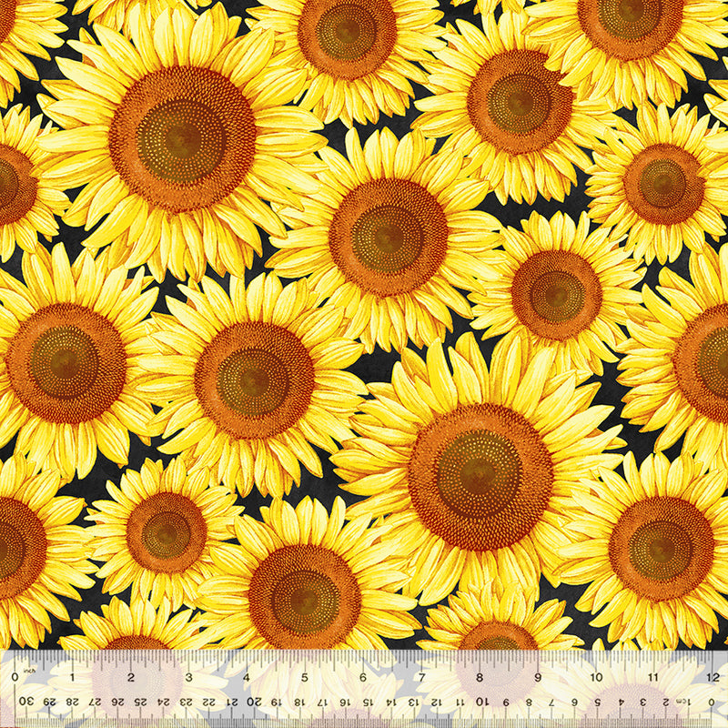 Sunshine Daydream Brighter Than the Sun Black Fabric