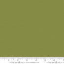 Bella Solids Lichen Fabric