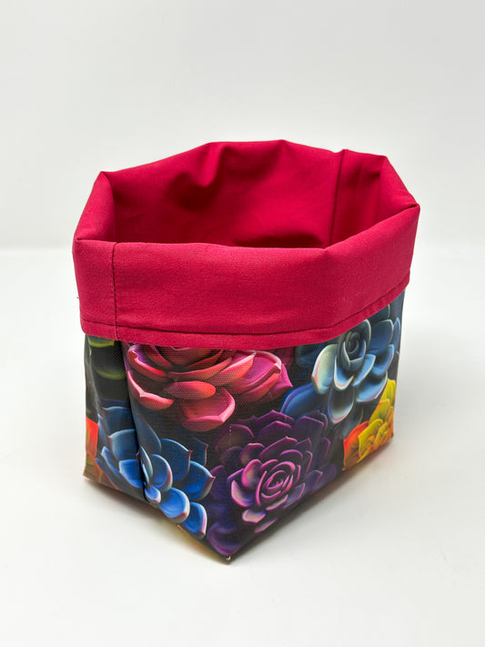 Tub Totes - Rainbow Succulents #7
