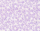 Floral Tapestry Batik - Leaf - Lilac - Yardage