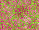 Floral Tapestry Batik - Roses - Pink Punch - Yardage