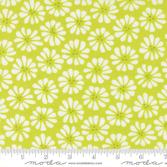 Pick Me Lazy Daisy Lime Fabric