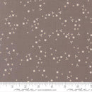 In The Garden 29236 23 Slate Fabric