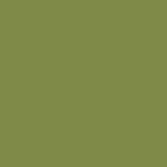 Organic Canvas - Color-Play- Olive  2705-9024 OLIVE