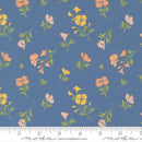 Cannon Beach 11974 18 Lake Fabric
