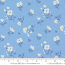Cannon Beach 11974 19 Sky Fabric