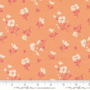 Cannon Beach 11974 22 Peach Fabric