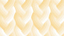 Echo Braid 42380 12 Ivory Fabric