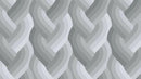 Echo Braid 42380 13 Grey Fabric